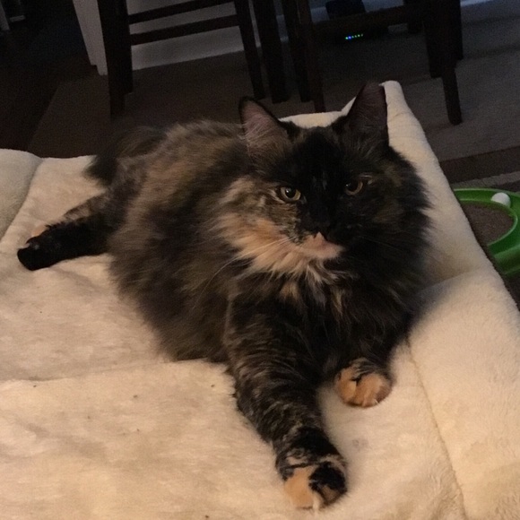 Meet your Posher, T - Picture 1 of 1